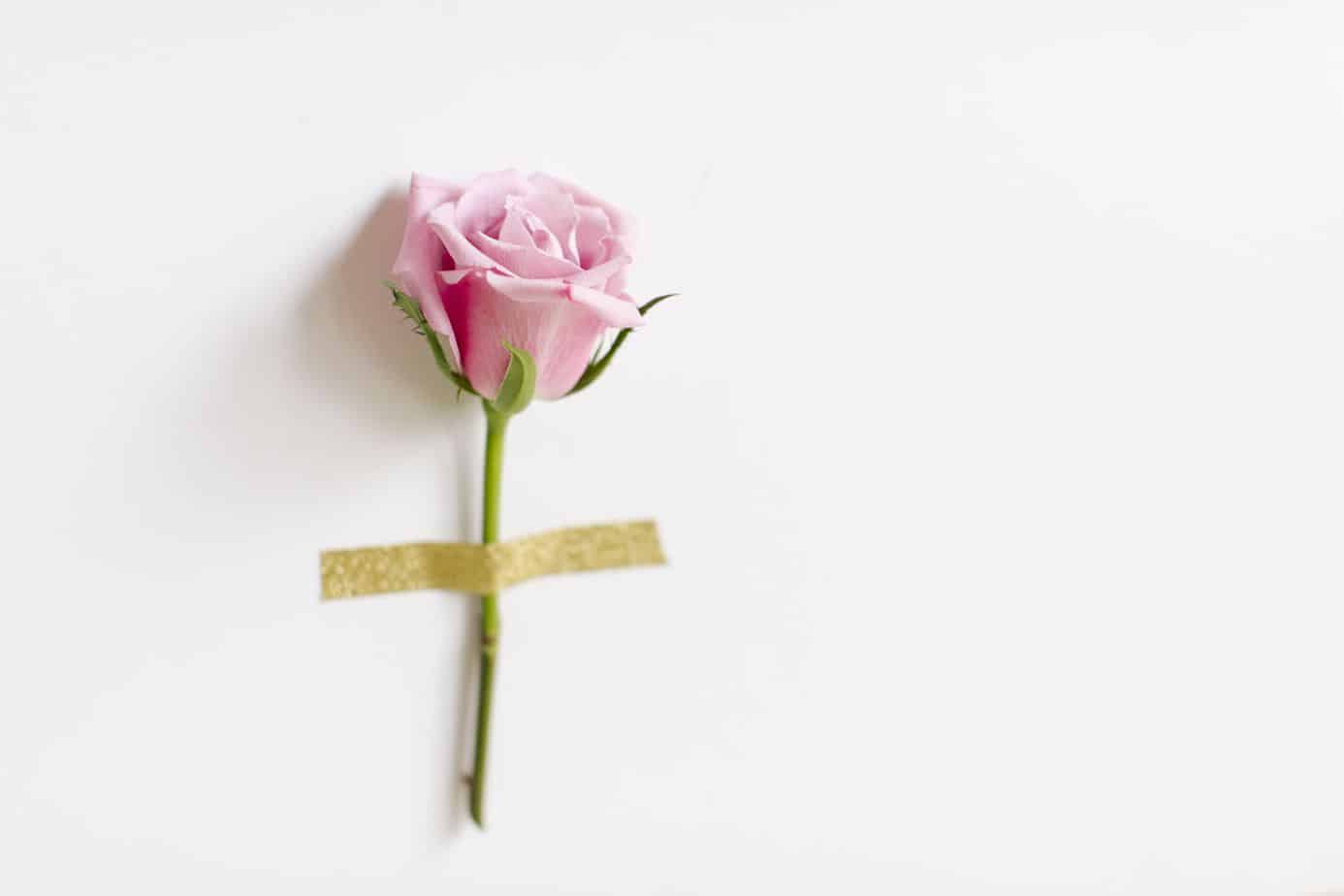 Day 27: Prayers Needed