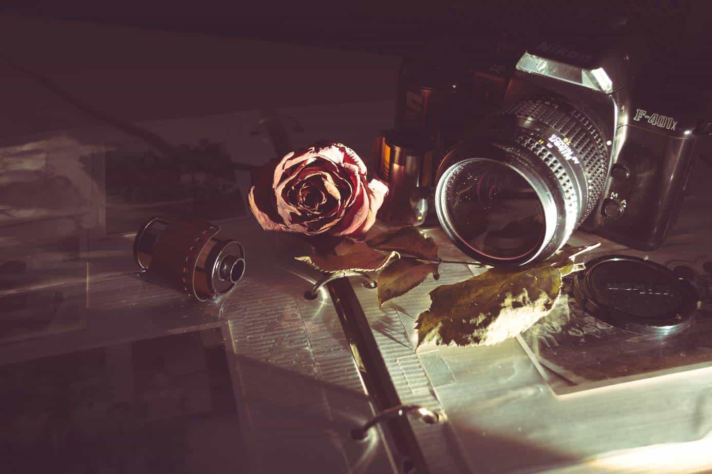 498d4c3a