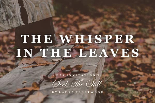 The Whisper in the Leaves